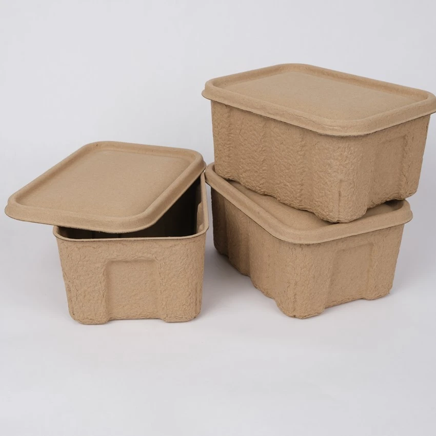 Dry-Pressed Pulp Packaging Dry-Pressed Pulp Packaging